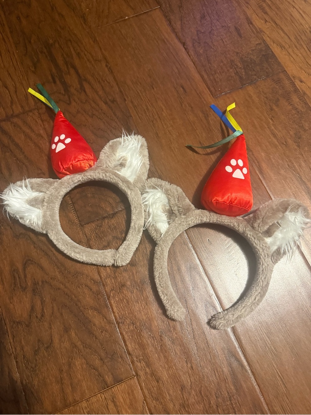 Great Wolf Lodge Birthday Ears